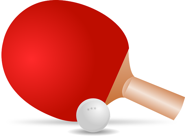 Lâattribut alt de cette image est vide, son nom de fichier est ping-pong-155949_640.png.